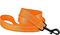 CollarDirect Reflective Nylon Dog Leash, 5-ft, Orange, Medium