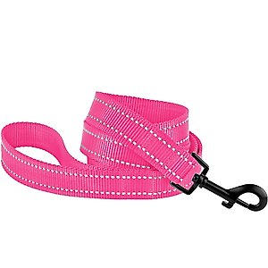 CollarDirect Reflective Nylon Dog Leash, 5-ft, Pink, Large