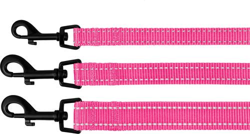 Show full view: CollarDirect Reflective Nylon Dog Leash, 5-ft, Pink, Large slide 5 of 6