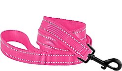 CollarDirect Reflective Nylon Dog Leash, 5-ft, Pink, Small