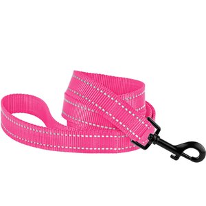 CollarDirect Reflective Nylon Dog Leash, 5-ft, Pink, Small