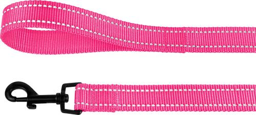 Show full view: CollarDirect Reflective Nylon Dog Leash, 5-ft, Pink, Small slide 3 of 6