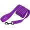 Show in main carousel: CollarDirect Reflective Nylon Dog Leash, 5-ft, Purple, Large slide 3 of 7