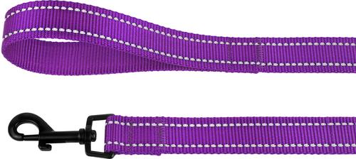 Show full view: CollarDirect Reflective Nylon Dog Leash, 5-ft, Purple, Large slide 4 of 7