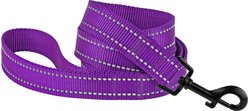 CollarDirect Reflective Nylon Dog Leash, 5-ft, Purple, Medium