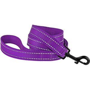 CollarDirect Reflective Nylon Dog Leash, 5-ft, Purple, Medium