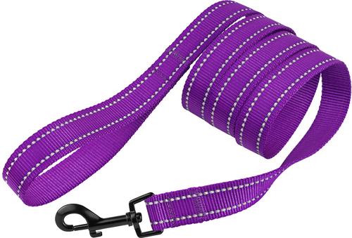 Show full view: CollarDirect Reflective Nylon Dog Leash, 5-ft, Purple, Small slide 2 of 6