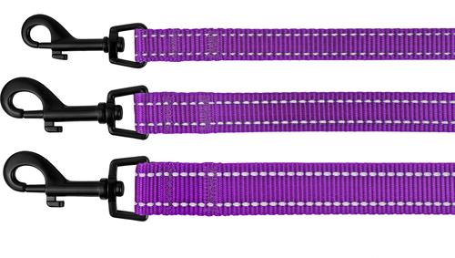 Show full view: CollarDirect Reflective Nylon Dog Leash, 5-ft, Purple, Small slide 5 of 6
