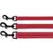 Show in main carousel: CollarDirect Reflective Nylon Dog Leash, 5-ft, Red, Large slide 6 of 7
