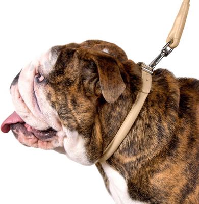 Show full view: CollarDirect Rolled Leather Dog Collar, Beige, Small: 9 to 11-in neck, 3/8-in wide slide 3 of 5