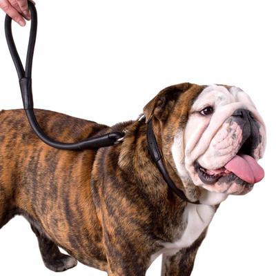 Show full view: CollarDirect Rolled Leather Dog Collar, Black, X-Large: 16 to 18-in neck, 9/16-in wide slide 3 of 5