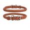 Show in main carousel: CollarDirect Rolled Leather Dog Collar, Brown, X-Large: 16 to 18-in neck, 9/16-in wide slide 1 of 5