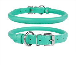CollarDirect Rolled Leather Dog Collar, Mint Green, Small: 9 to 11-in neck, 3/8-in wide