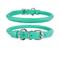 Show in main carousel: CollarDirect Rolled Leather Dog Collar, Mint Green, Small: 9 to 11-in neck, 3/8-in wide slide 1 of 5