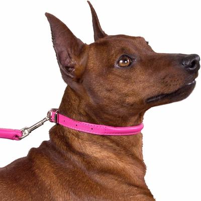 Show full view: CollarDirect Rolled Leather Dog Collar, Pink, Medium: 12 to 14-in neck, 1/2-in wide slide 3 of 5