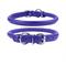 Show in main carousel: CollarDirect Rolled Leather Dog Collar, Purple, Large: 14 to 16-in neck, 1/2-in wide slide 1 of 4