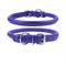 Show in main carousel: CollarDirect Rolled Leather Dog Collar, Purple, XX-Large: 19 to 21-in neck, 9/16-in wide slide 1 of 5