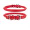Show in main carousel: CollarDirect Rolled Leather Dog Collar, Red, X-Small: 7 to 8-in neck, 3/8-in wide slide 1 of 5