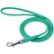 Show in main carousel: CollarDirect Rolled Leather Dog Leash, Mint Green, Large: 6-ft long, 3/8-in wide slide 1 of 4