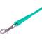 Show in main carousel: CollarDirect Rolled Leather Dog Leash, Mint Green, Large: 6-ft long, 3/8-in wide slide 2 of 4