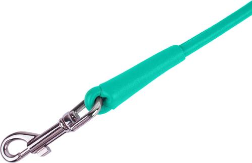 Show full view: CollarDirect Rolled Leather Dog Leash, Mint Green, Large: 6-ft long, 3/8-in wide slide 2 of 4