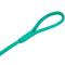 Show in main carousel: CollarDirect Rolled Leather Dog Leash, Mint Green, Large: 6-ft long, 3/8-in wide slide 3 of 4