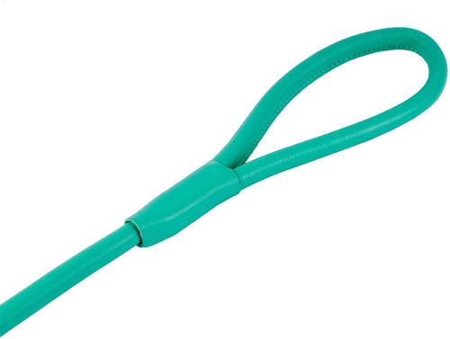 Show full view: CollarDirect Rolled Leather Dog Leash, Mint Green, Large: 6-ft long, 3/8-in wide slide 3 of 4