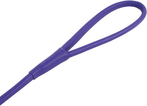 Show full view: CollarDirect Rolled Leather Dog Leash, Purple, Large: 6-ft long, 3/8-in wide slide 3 of 4