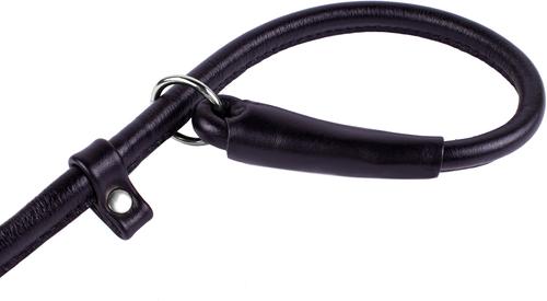 Show full view: CollarDirect Rolled Leather Dog Slip Lead, Black, Medium: 6-ft long, 5/16-in wide slide 3 of 4