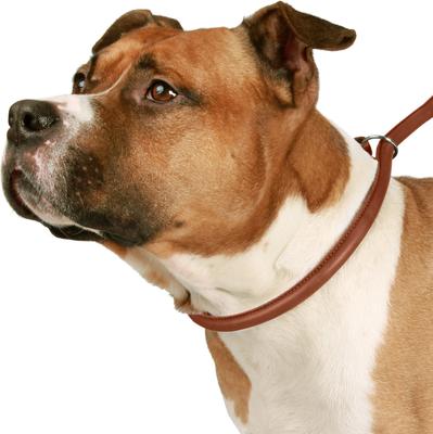 Show full view: CollarDirect Rolled Leather Dog Slip Lead, Brown, Large: 6-ft long, 3/8-in wide slide 3 of 3