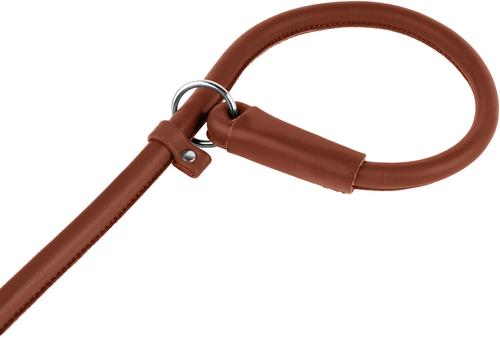 Show full view: CollarDirect Rolled Leather Dog Slip Lead, Brown, Small: 6-ft long, 5/16-in wide slide 2 of 4