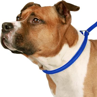 Show full view: CollarDirect Rolled Leather Dog Slip Lead, Navy Blue, Medium: 6-ft long, 5/16-in wide slide 3 of 3