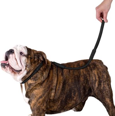 Show full view: CollarDirect Short Traffic Rolled Leather Dog Leash, Black, Large: 1.75-ft long, 1/2-in wide slide 3 of 3