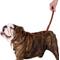 Show in main carousel: CollarDirect Short Traffic Rolled Leather Dog Leash, Brown, Large: 1.75-ft long, 1/2-in wide slide 3 of 3