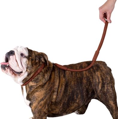 Show full view: CollarDirect Short Traffic Rolled Leather Dog Leash, Brown, Large: 1.75-ft long, 1/2-in wide slide 3 of 3