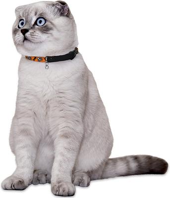 Show full view: CollarDirect Skull Breakaway Buckle Cat Collar, Orange slide 3 of 4