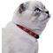 Show in main carousel: CollarDirect Skull Breakaway Buckle Cat Collar, Red slide 3 of 4