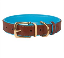 CollarDirect Soft Padded Leather Dog Collar, Blue, Medium