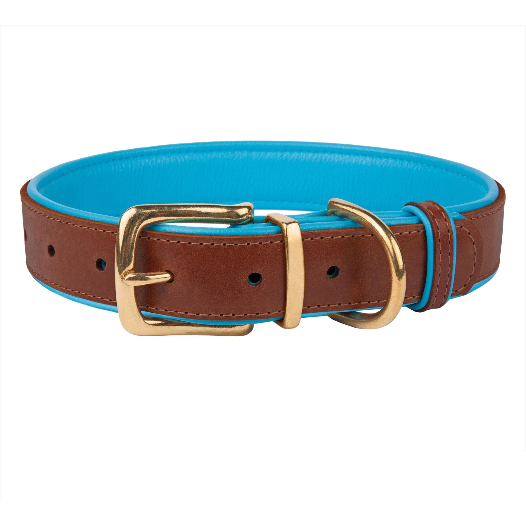 CollarDirect Soft Padded Leather Dog Collar, Blue, Medium