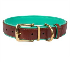 CollarDirect Soft Padded Leather Dog Collar, Mint Green, Small