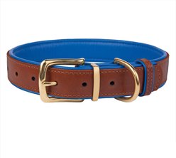 CollarDirect Soft Padded Leather Dog Collar, Navy Blue, Large