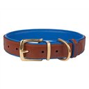 CollarDirect Soft Padded Leather Dog Collar, Navy Blue, Large