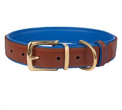 CollarDirect Soft Padded Leather Dog Collar, Navy Blue, Small
