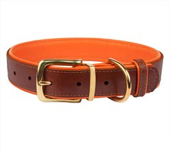 CollarDirect Soft Padded Leather Dog Collar, Orange, Large