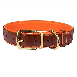CollarDirect Soft Padded Leather Dog Collar, Orange, Large