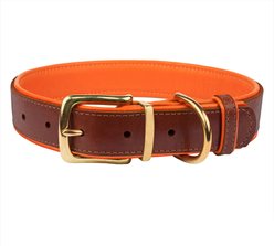 CollarDirect Soft Padded Leather Dog Collar, Orange, Medium