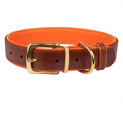 CollarDirect Soft Padded Leather Dog Collar, Orange, Small