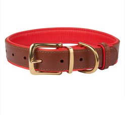 CollarDirect Soft Padded Leather Dog Collar, Red, Medium slide 1 of 2