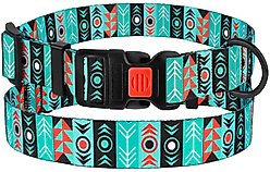 CollarDirect Tribal Aztec Nylon Dog Collar, Pattern 1, Large: 14 to 18-in neck, 1-in wide
