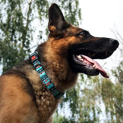 Show full view: CollarDirect Tribal Aztec Nylon Dog Collar, Pattern 1, Large: 14 to 18-in neck, 1-in wide slide 3 of 8